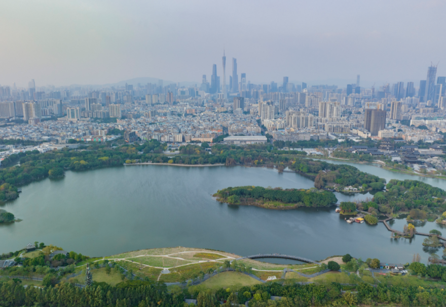 5月22日是国际生物多样性日。湿地具有涵养水源、调节气候、维持碳循环等极为重要的生态功能，是生物多样性的重要发源地之一。粤港澳大湾区拥有多个湿地公园，优质的生态环境为各种生物提供了生存繁衍空间，对维护生物多样性起到积极意义。广州海珠国家湿地公园是全国特大城市中心区域面积最大的湿地公园，目前湿地率达79.4%，鸟类种类从72种增加到187种，昆虫种类从66种增加值738种，鱼类从36种增加到64种。图为广州海珠湿地公园。