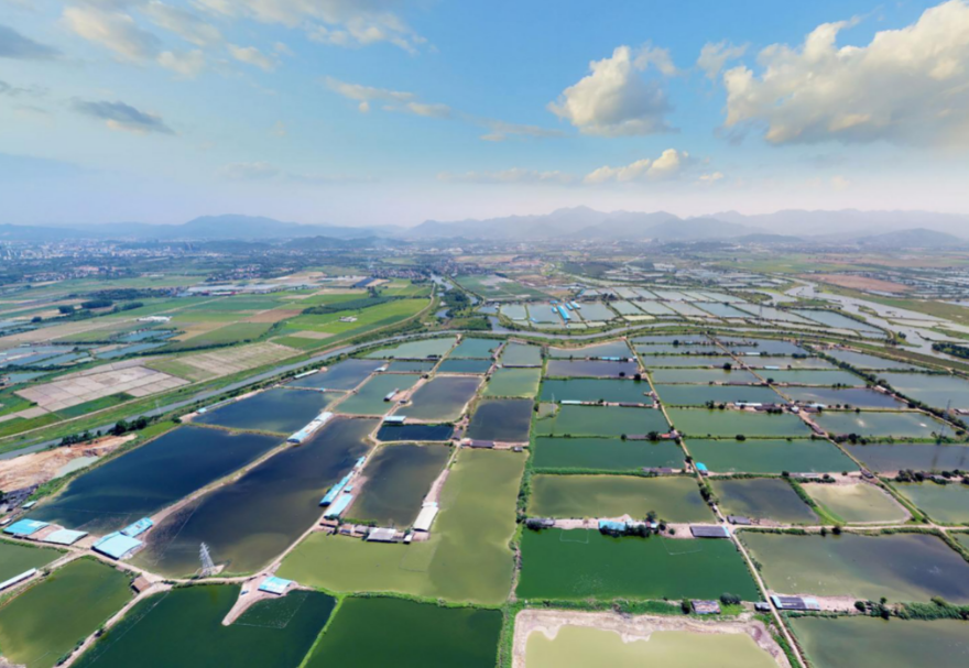 潼湖湿地是广东省最大且极少的典型内陆淡水湖泊湿地，包含了4个湿地类型：湖泊湿地、河流湿地、基塘湿地和水库湿地，这在广东省内十分难得，是候鸟迁徙重要停歇地和栖息地。图为惠州潼湖国家湿地公园。