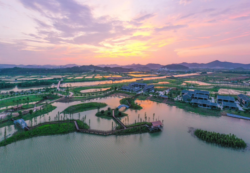 在中山翠亨国家湿地公园,红树林同样是一道靓丽的风景线,在黄昏时分