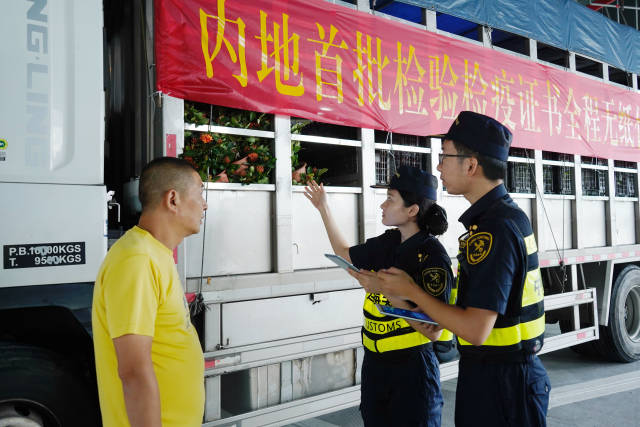 出口澳门植物实现检验检疫证书无纸化通关