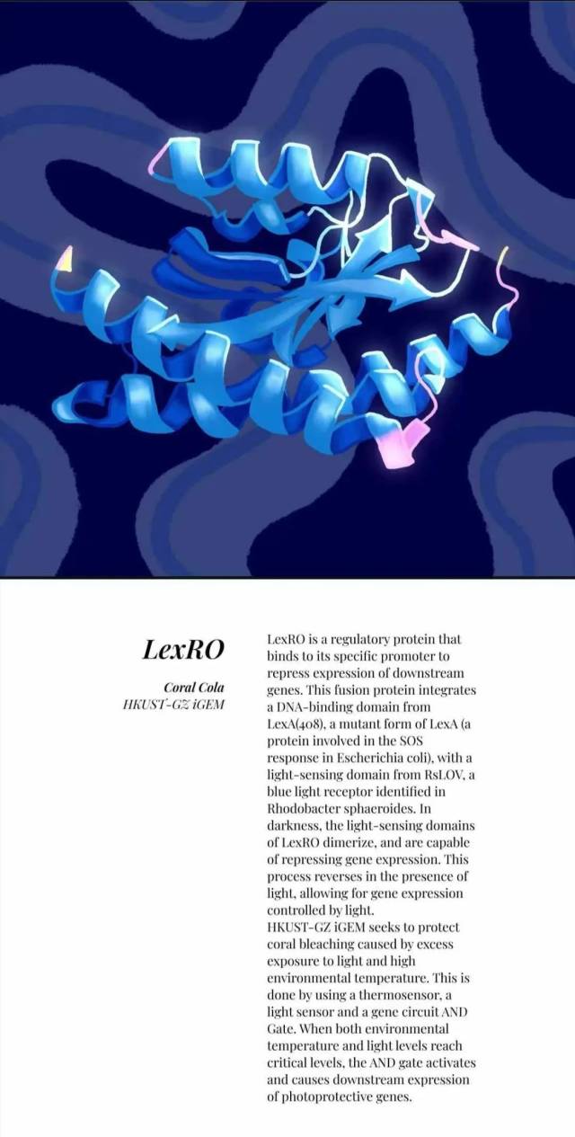 Coral Cola团队与加拿大麦吉尔大学（McGill University）合作的BIOME book