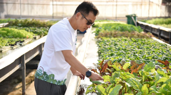 澳门青年孙振鸿：在大湾区“种”出“好机会”