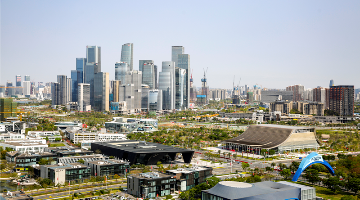 服务群众 建设湾区——港澳籍深圳公务员二三事